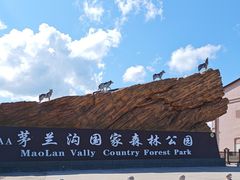 -茅兰沟国家森林公园