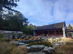 -香山公园