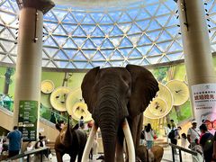 -陕西自然博物馆