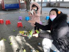 -1982农场