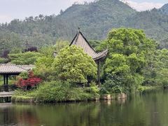 -黄陂区野村谷景区