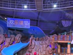 -烟台海昌鲸鲨海洋公园