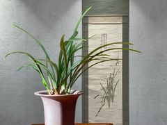 -稻香村(地铁四惠站店)