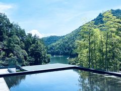 -夏山营地教育