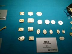 -青岛贝壳博物馆