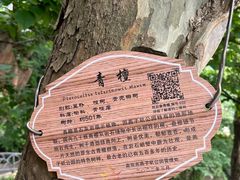 -幕燕滨江·燕子矶公园
