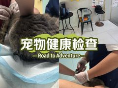 -关爱动物医院·心脏·中兽医·异宠(金牛路分院)