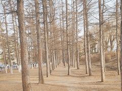 -长春市南湖公园