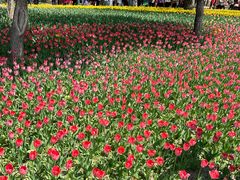 -长春公园(普阳街道)