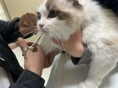 -关爱动物医院·心脏·中兽医·异宠(金牛路分院)