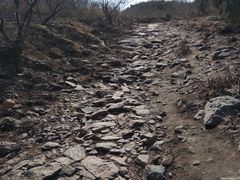 -红光山