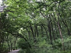 -皇藏峪国家森林公园