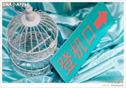 -DNA Wedding 婚礼记(上海店)