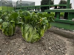 -杭州温德姆至尊豪廷大酒店