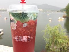 -鸡鸣赐茶(鸡鸣寺路店)