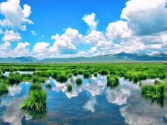 -白鹭湾湿地公园