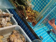 -庆赫隆融合菜馆(群力店)