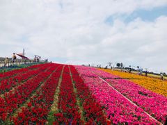 -东部华侨城