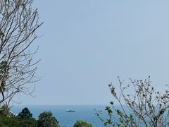 -广东惠东海龟国家级自然保护区