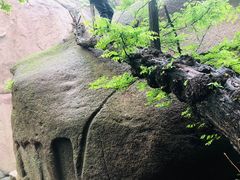 -嵖岈山风景区