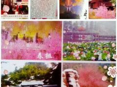 -常德桃花源景区