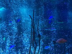 -沈阳海洋探索中心