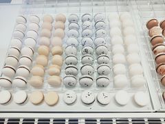 黑芝麻马卡龙-黑天鹅蛋糕店(青年大街店)