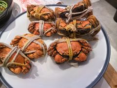 -杨氏青龙虾·羊蝎子(托乐嘉店)