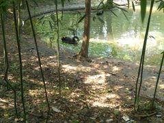 -镇江市南山风景名胜区竹林景区