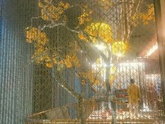 -京华烟云·北京烤鸭(领展购物广场·中关村店)