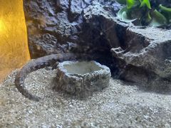 -海南热带野生动植物园