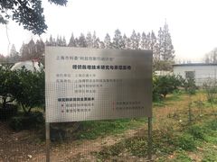 -前小桔亲子创意农场·草莓采摘·露营烧烤