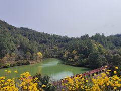 -广州白江湖森林公园