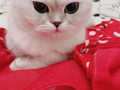 -FIGHTMAN格斗俱乐部(长宁临空店)