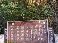 -宝界山林公园