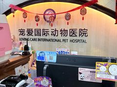 -宠爱国际动物医院·消化内科·心肾内科·ISFM猫友好(望京店)