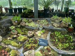 -国家植物园南园