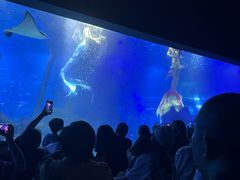 -江和美海洋公园