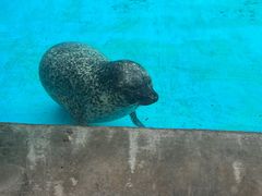 -珠海长隆海洋王国