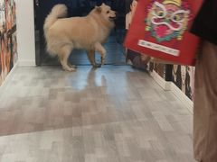 -肆兮眼镜·蔡司·徕卡战略合作店(大坪店)
