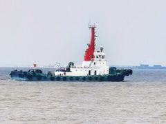 -上海滨江森林公园