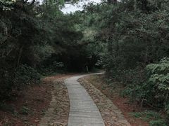 -缥缈峰景区