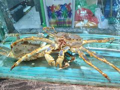 -海逸海鲜酒家(古北店)