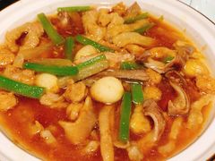 -陈麻婆豆腐总店
