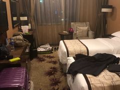 -长沙小天鹅戴斯酒店