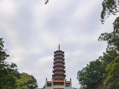 -大雁山风景区