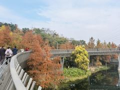 -梅峰山地公园