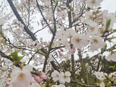 -宜兴龙背山森林公园