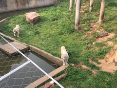 -无锡动物园·太湖欢乐园