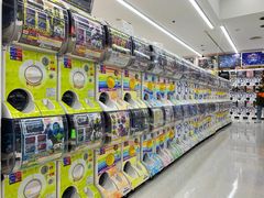 -Bic Camera (难波店)